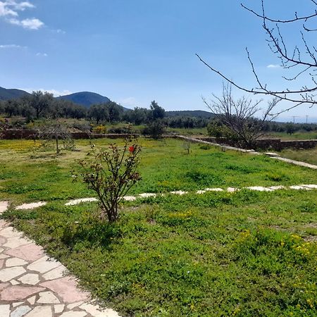 “Villa Othon-Leni” Paralia Demonias Екстериор снимка