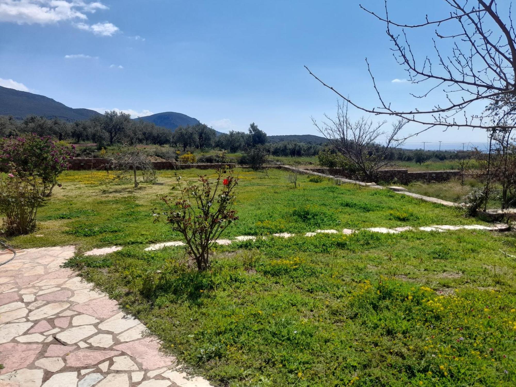 “Villa Othon-Leni” Paralia Demonias Екстериор снимка