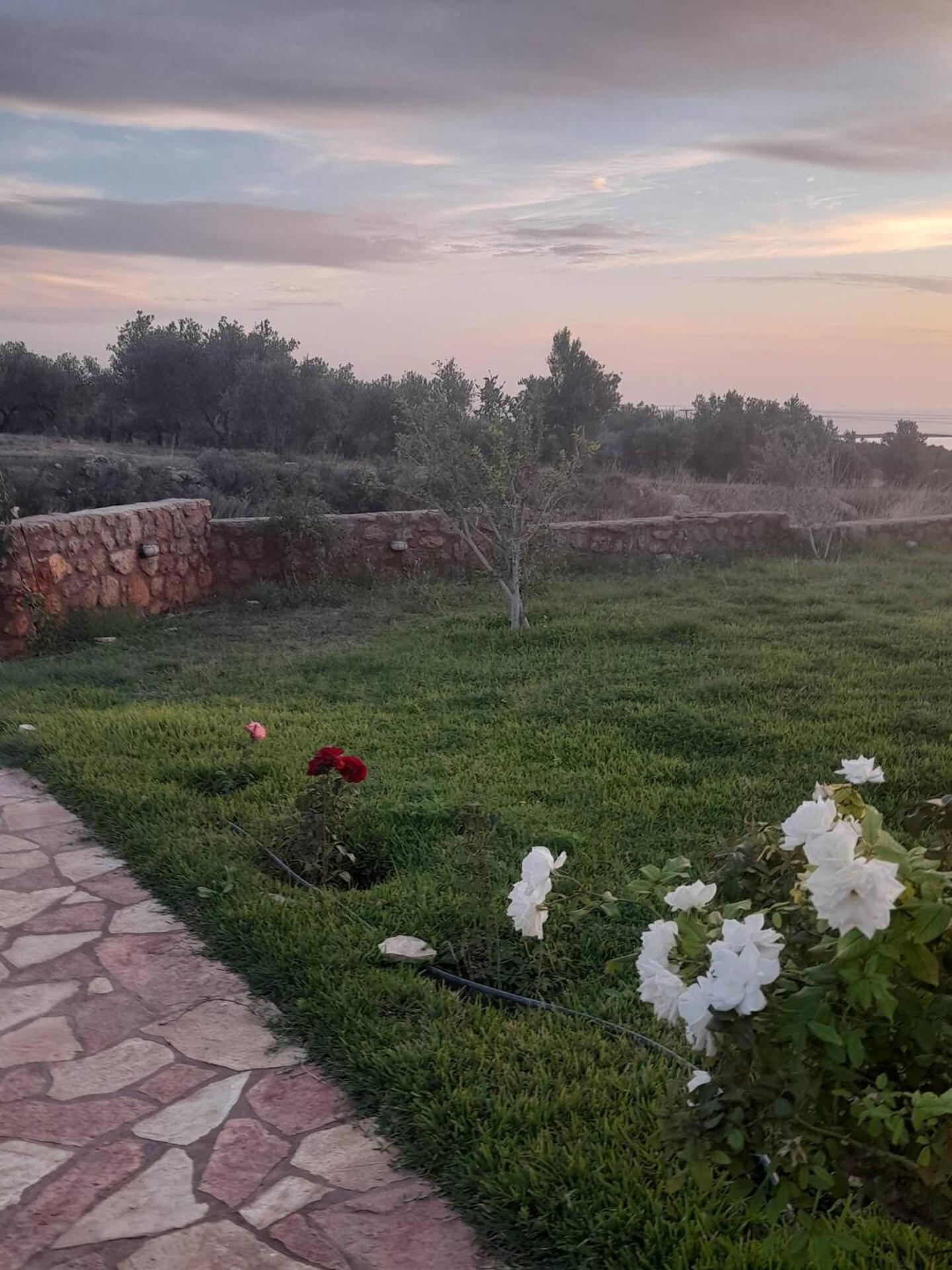 “Villa Othon-Leni” Paralia Demonias Екстериор снимка
