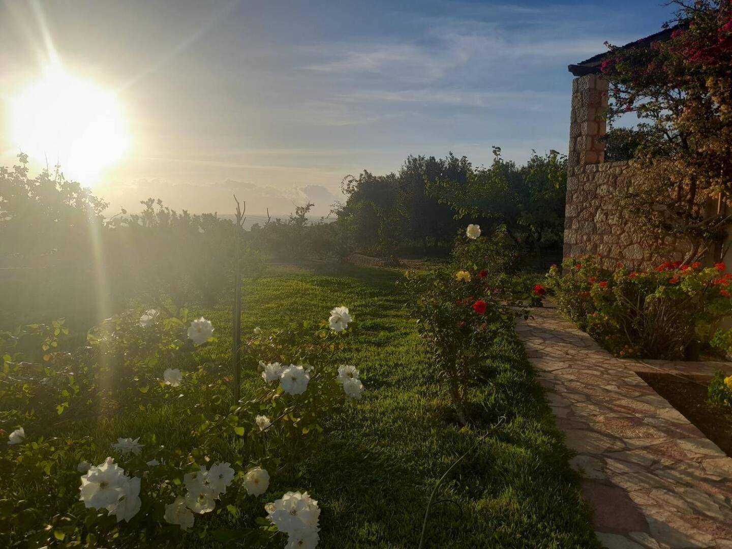 “Villa Othon-Leni” Paralia Demonias Екстериор снимка